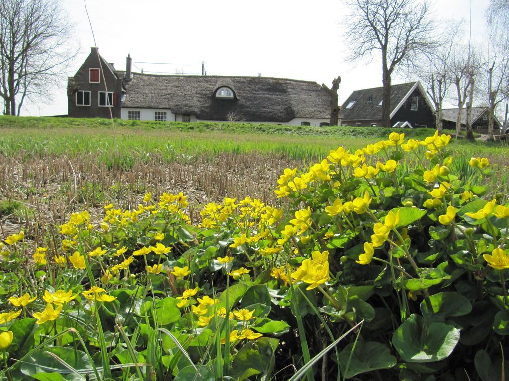 Boerderij Honswijck Guest House Веесп Екстериор снимка
